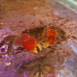 Tisburys Aquatic Centre