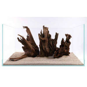 Tisburys Aquatic Centre