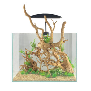 Tisburys Aquatic Centre