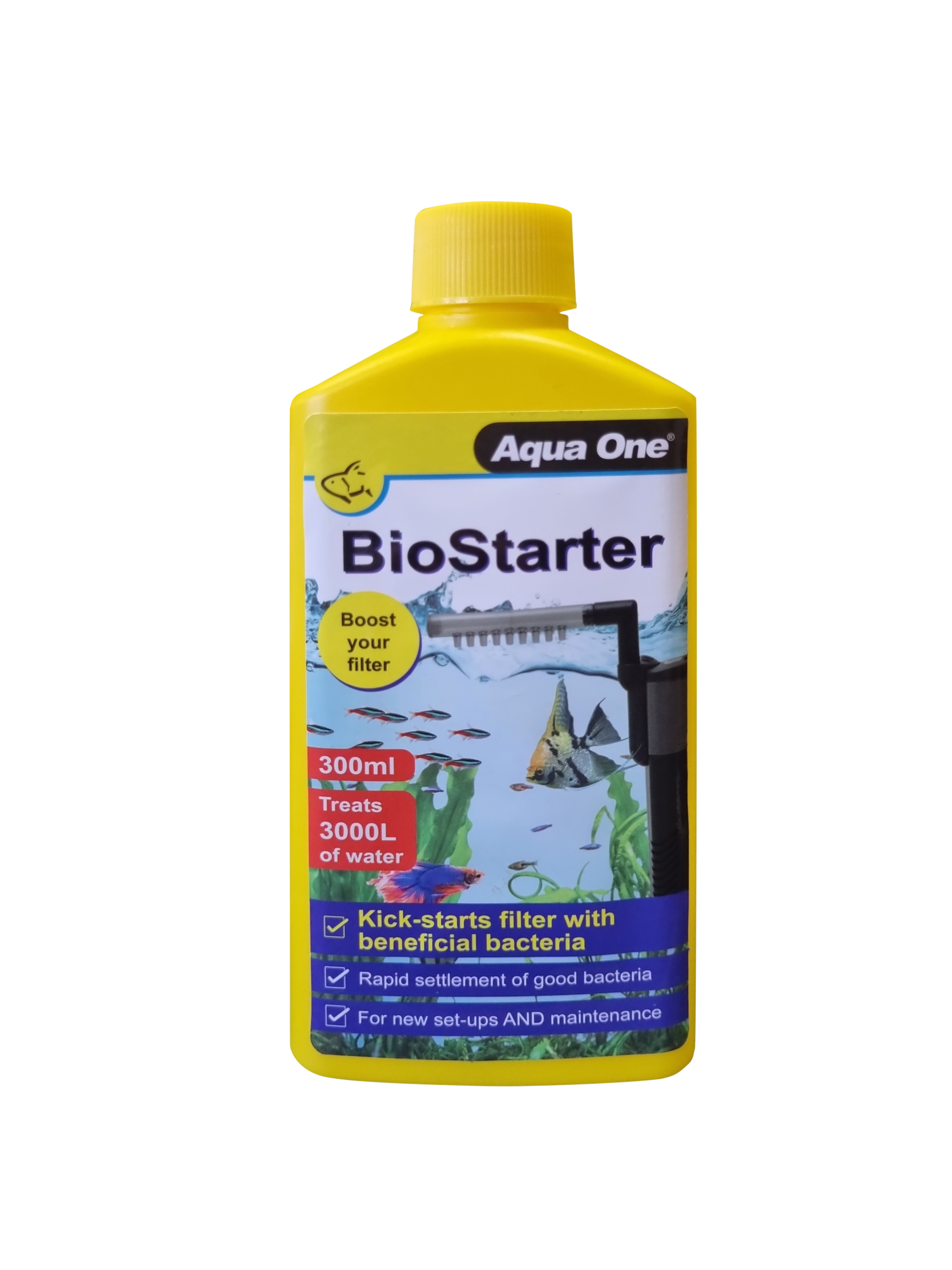 Tisburys Aquatic Centre Tisburys Aquatic Centre