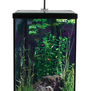 Tisburys Aquatic Centre