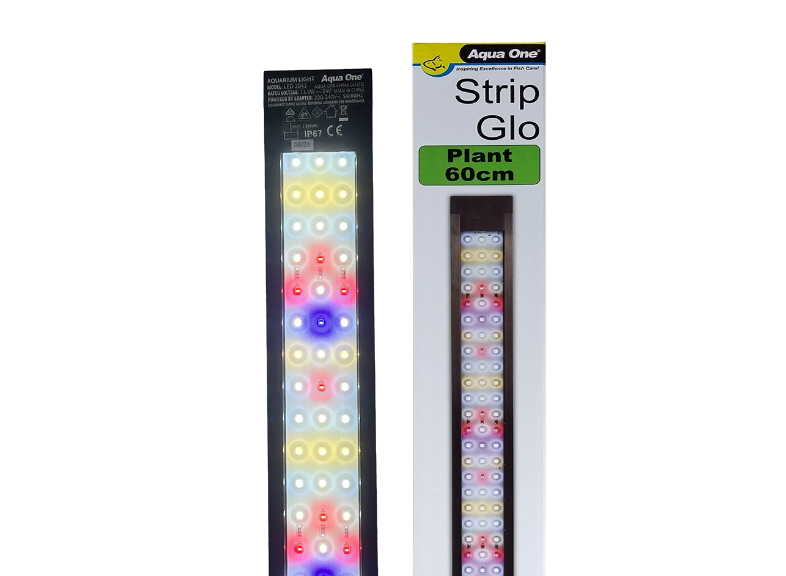 Tisburys Aquatic Centre Tisburys Aquatic Centre