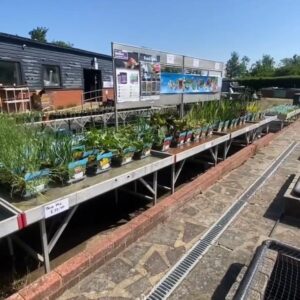 Tisburys Aquatic Centre