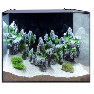 Tisburys Aquatic Centre