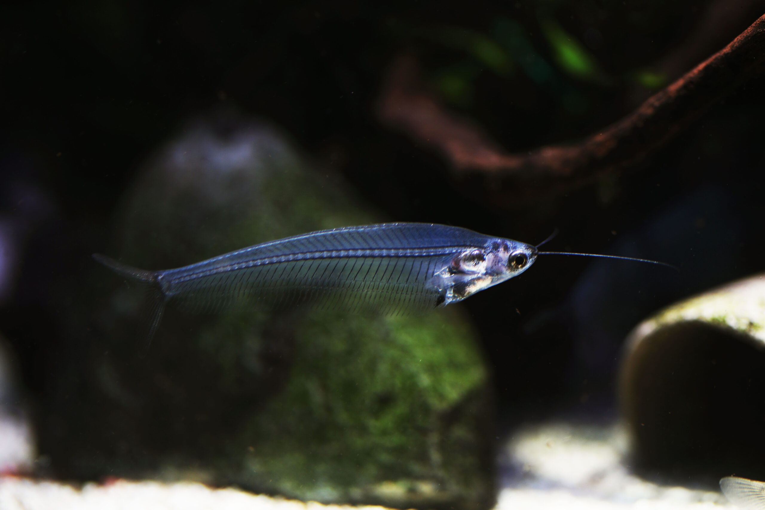Tisburys Aquatic Centre Tisburys Aquatic Centre