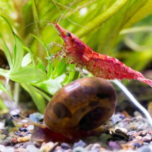 Tisburys Aquatic Centre