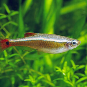 Tisburys Aquatic Centre