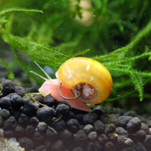 Tisburys Aquatic Centre