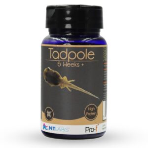 Tisburys Aquatic Centre