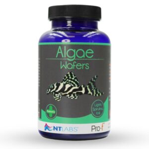 Tisburys Aquatic Centre