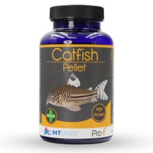 Tisburys Aquatic Centre