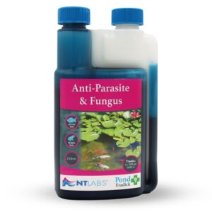 Tisburys Aquatic Centre