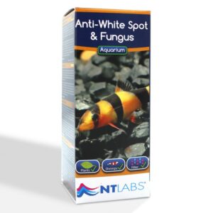 Tisburys Aquatic Centre