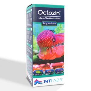 Tisburys Aquatic Centre