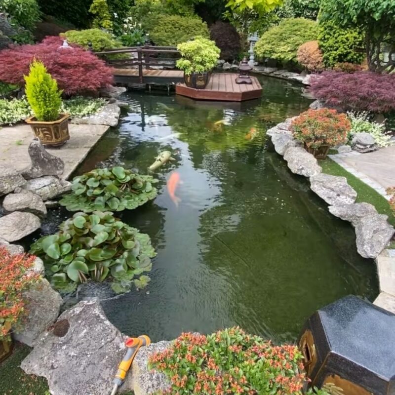 Tisburys Aquatic Centre